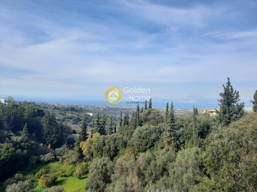 Μονοκατοικία στην Θέα, Μεσσατίδα — Φωτογραφία 40 από 53