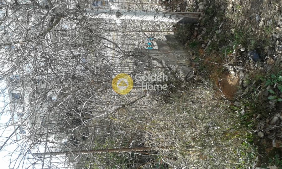 Οικόπεδο στην Πευκάκια, Αγία Παρασκευή — Φωτογραφία 9 από 10