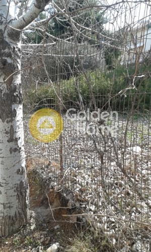 Οικόπεδο στην Πευκάκια, Αγία Παρασκευή — Φωτογραφία 4 από 10