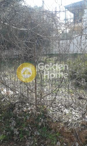 Οικόπεδο στην Πευκάκια, Αγία Παρασκευή — Φωτογραφία 7 από 10