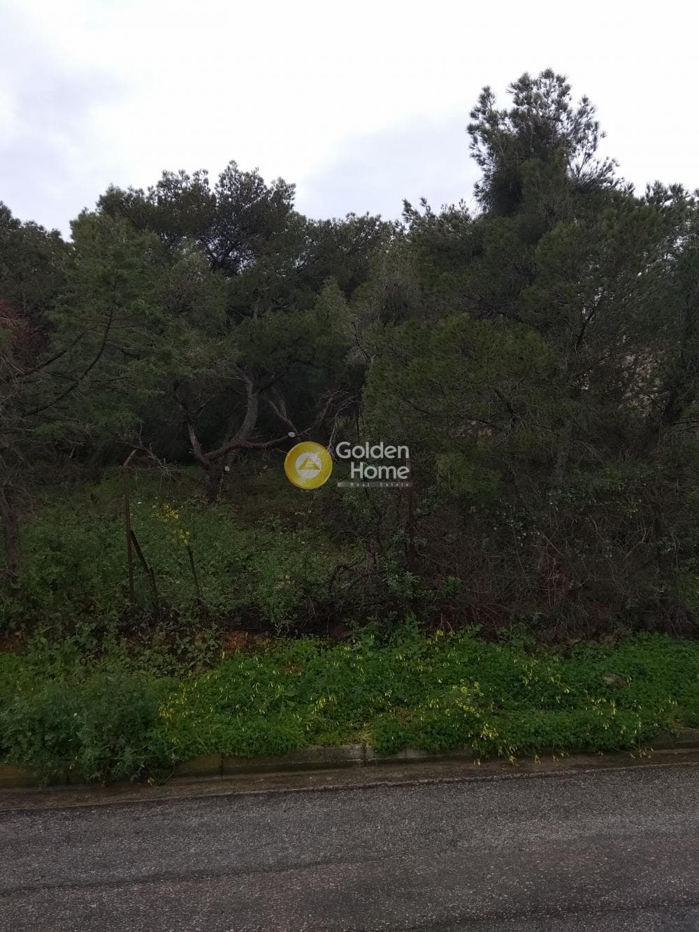 Οικόπεδο στην Σαρωνίδα, Σαρωνίδα — Φωτογραφία 1 από 2