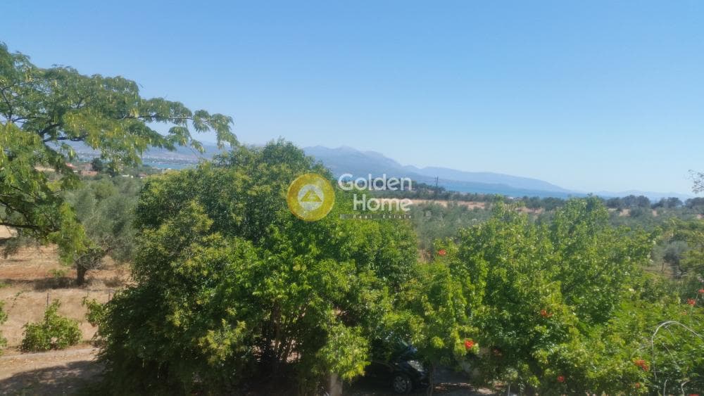 Μονοκατοικία στην Παραλία Αυλίδας, Τανάγρα — Φωτογραφία 21 από 24