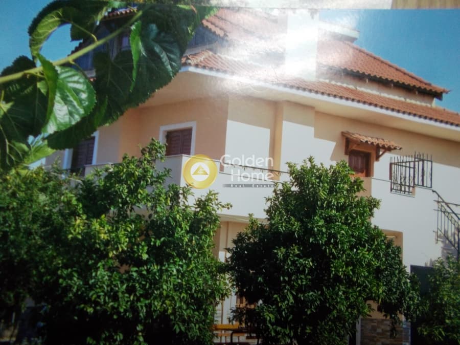 Μονοκατοικία στην Παραλία Αυλίδας, Τανάγρα — Φωτογραφία 10 από 24