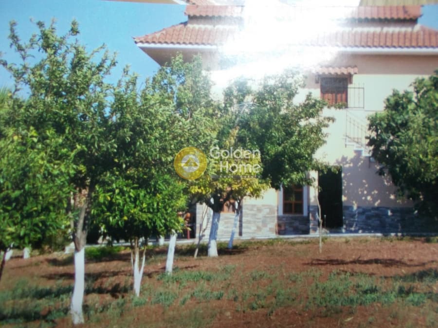 Μονοκατοικία στην Παραλία Αυλίδας, Τανάγρα — Φωτογραφία 12 από 24
