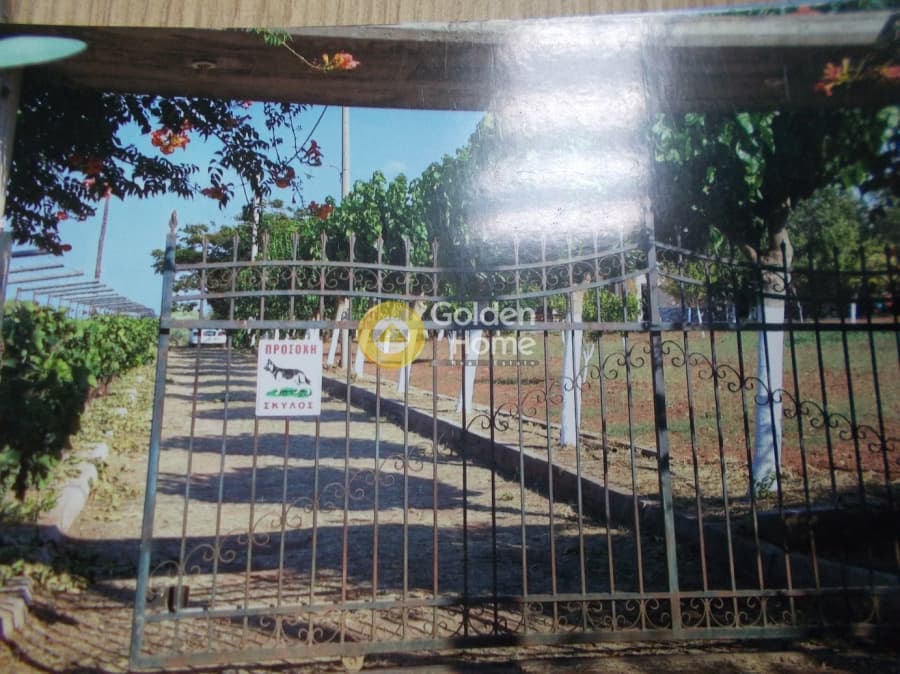 Μονοκατοικία στην Παραλία Αυλίδας, Τανάγρα — Φωτογραφία 24 από 24