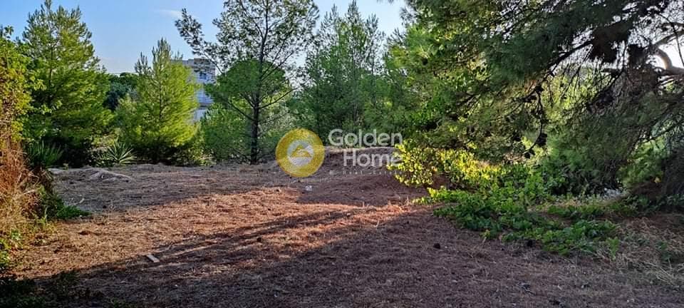 Building Plot in Agios Serafeim, Artemida (Loutsa) — Photo 1 of 2
