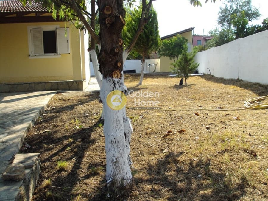 House in Vasilatika, Corfu — Photo 7 of 13