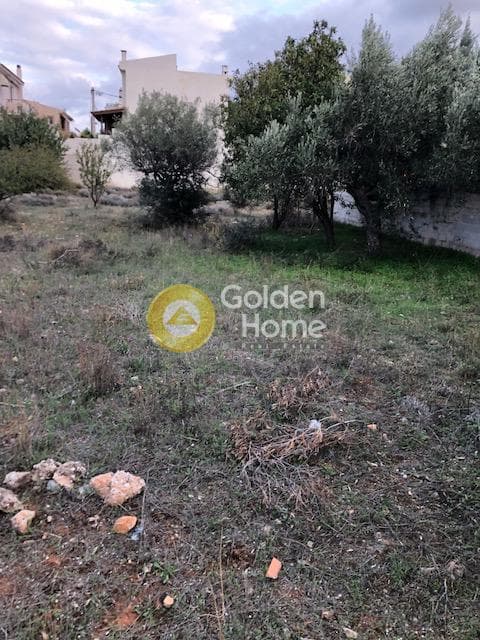 Building Plot in Kefleika, Kalivia Thorikou — Photo 12 of 12