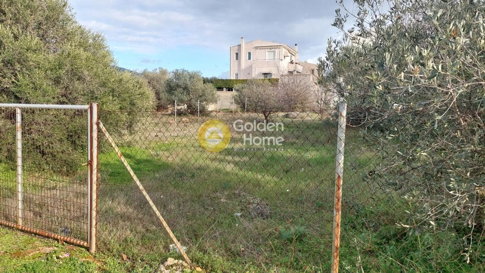 Building Plot in Kefleika, Kalivia Thorikou — Photo 3 of 12