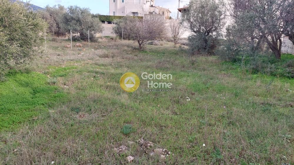 Building Plot in Kefleika, Kalivia Thorikou — Photo 9 of 12