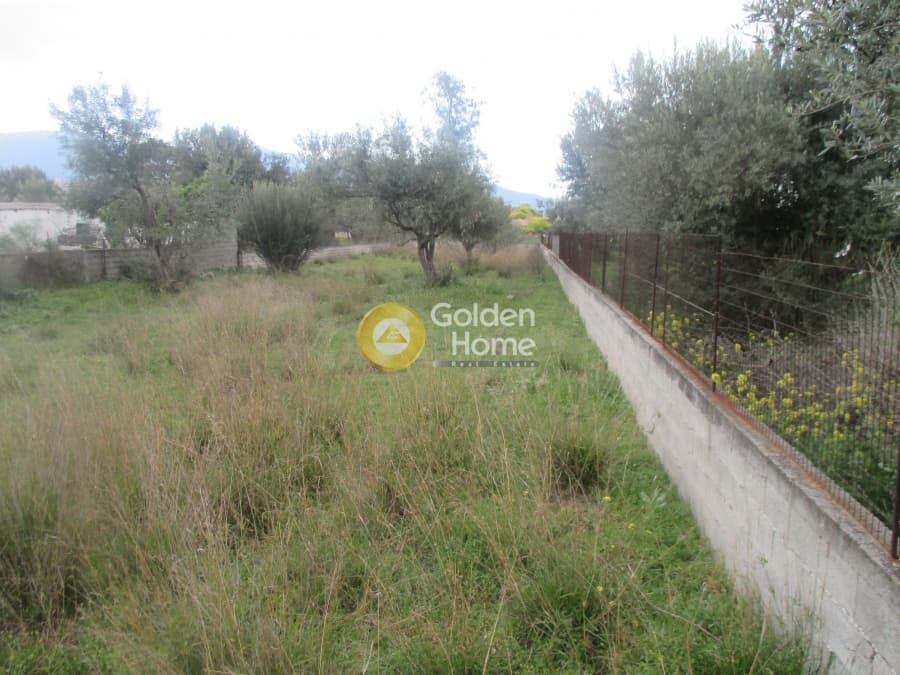 Αγροτεμάχιο στην Μεγάλα Σχοινία Α, Αχαρνές — Φωτογραφία 3 από 4