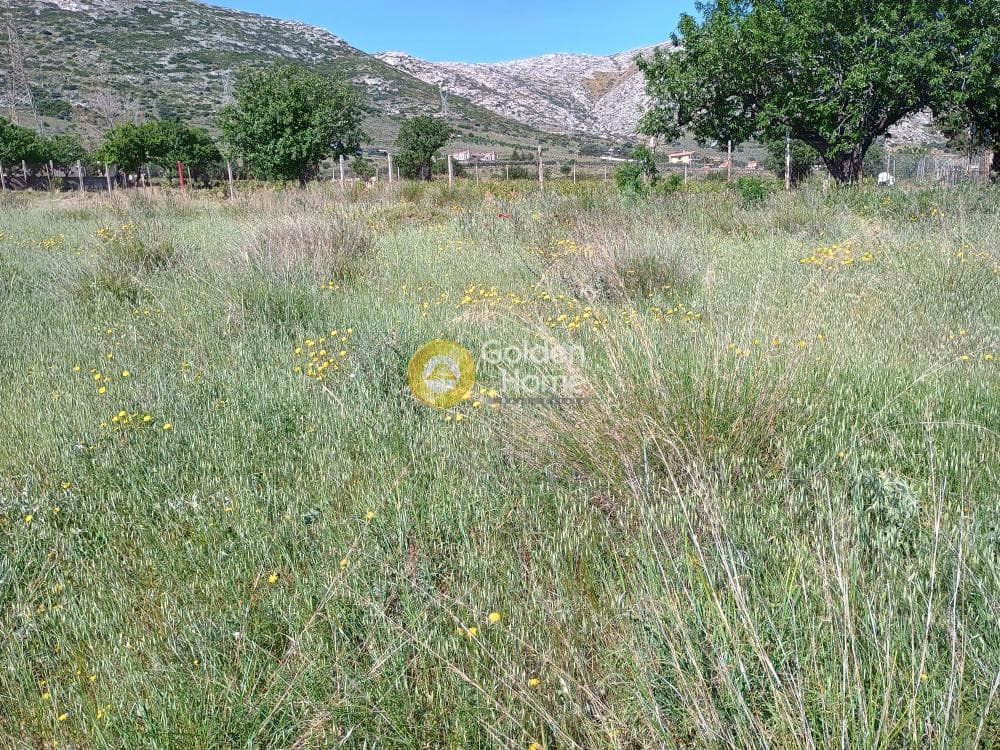 Building Plot in Center, Keratea — Photo 17 of 18