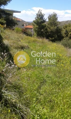 Οικόπεδο στην Πόρτο Ράφτη, Βραυρώνα — Φωτογραφία 1 από 3