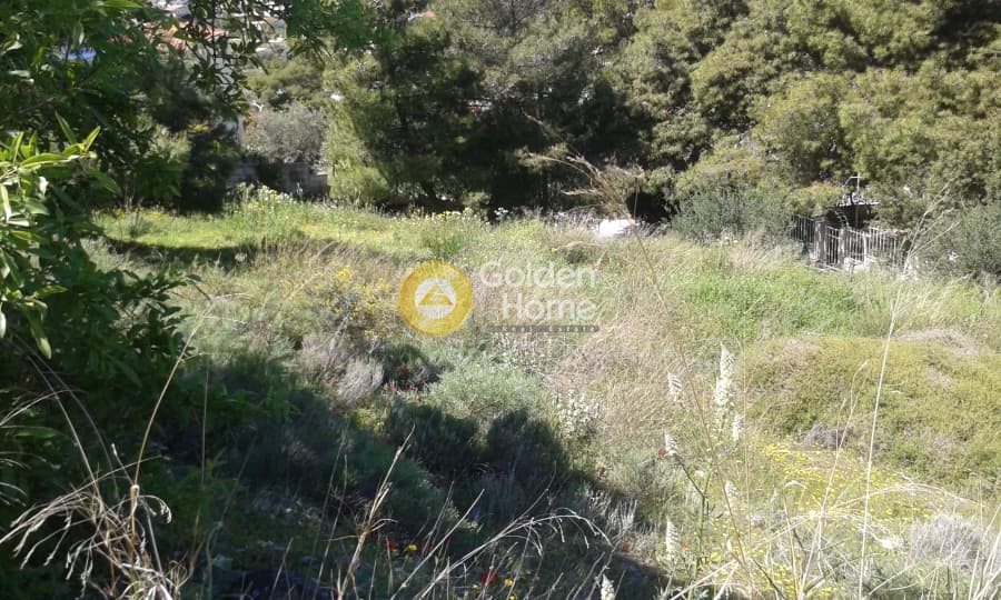 Οικόπεδο στην Πόρτο Ράφτη, Βραυρώνα — Φωτογραφία 3 από 3