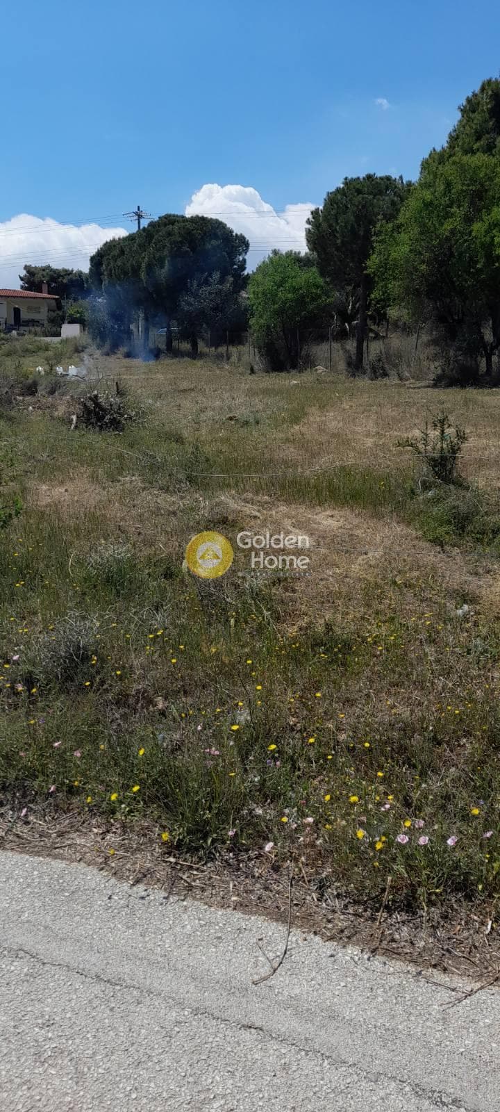 Αγροτεμάχιο στην Νεάπολη, Σπάτα — Φωτογραφία 3 από 6