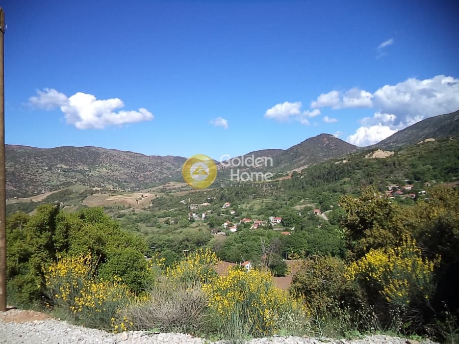 House in Plataniotissa, Kalavrita — Photo 7 of 8