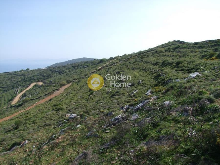 Αγροτεμάχιο στην Αγία Μαύρα, Κέα — Φωτογραφία 1 από 4