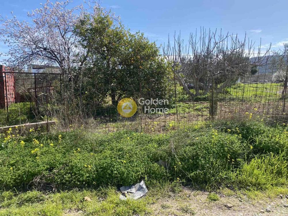 Building Plot in Alikes - Lakka, Anavissos — Photo 1 of 2