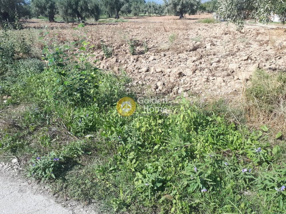 Building Plot in Kato Kifisia, Kifisia — Photo 3 of 5
