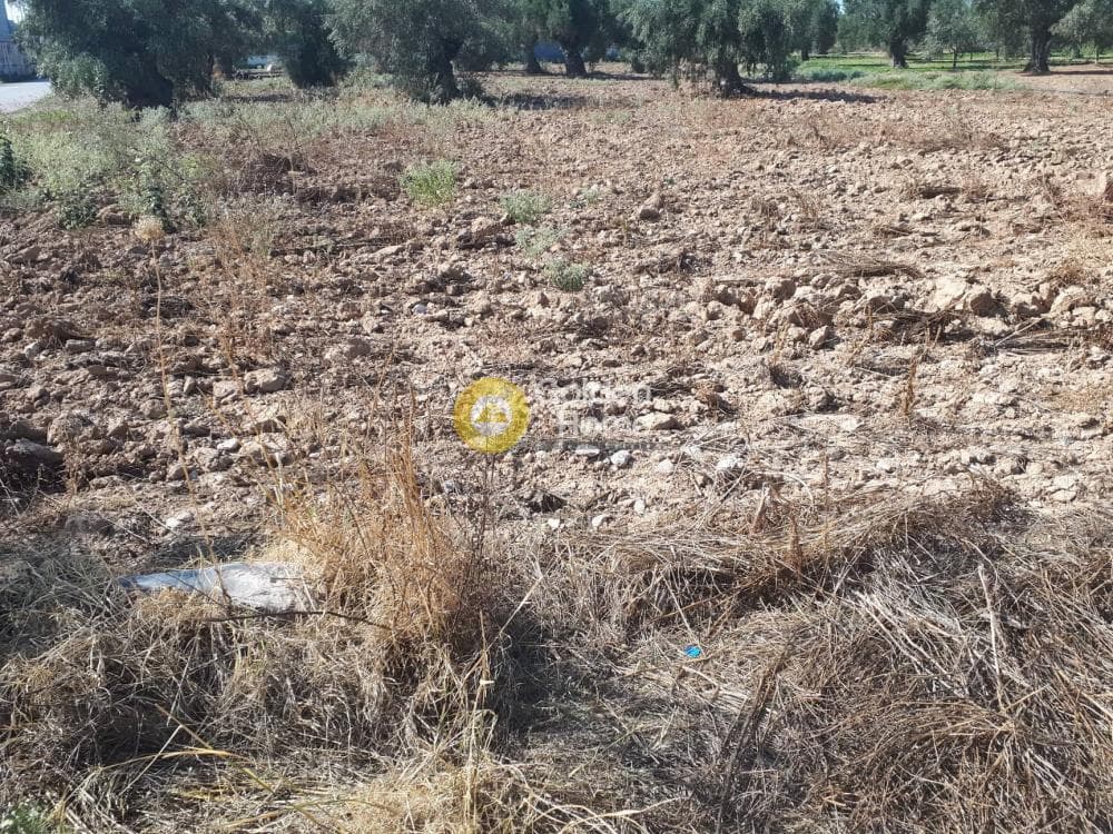 Building Plot in Kato Kifisia, Kifisia — Photo 5 of 5