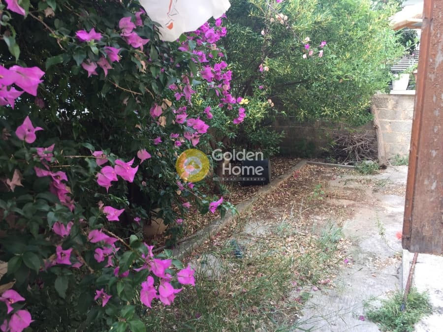 Οικόπεδο στην Κέντρο, Πετρούπολη — Φωτογραφία 2 από 6