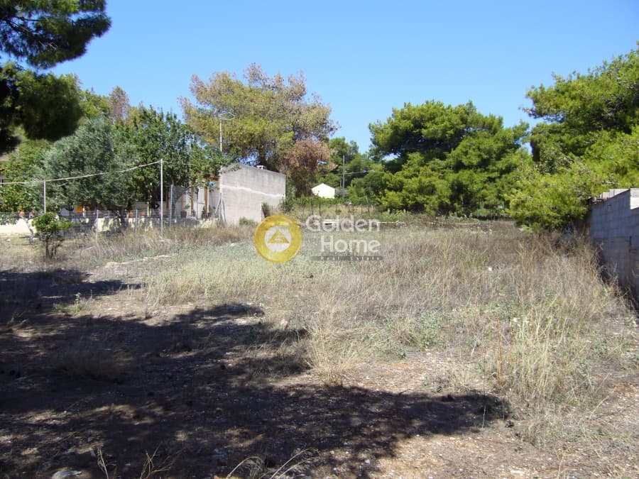 Building Plot in Agia Marina, Koropi — Photo 4 of 6
