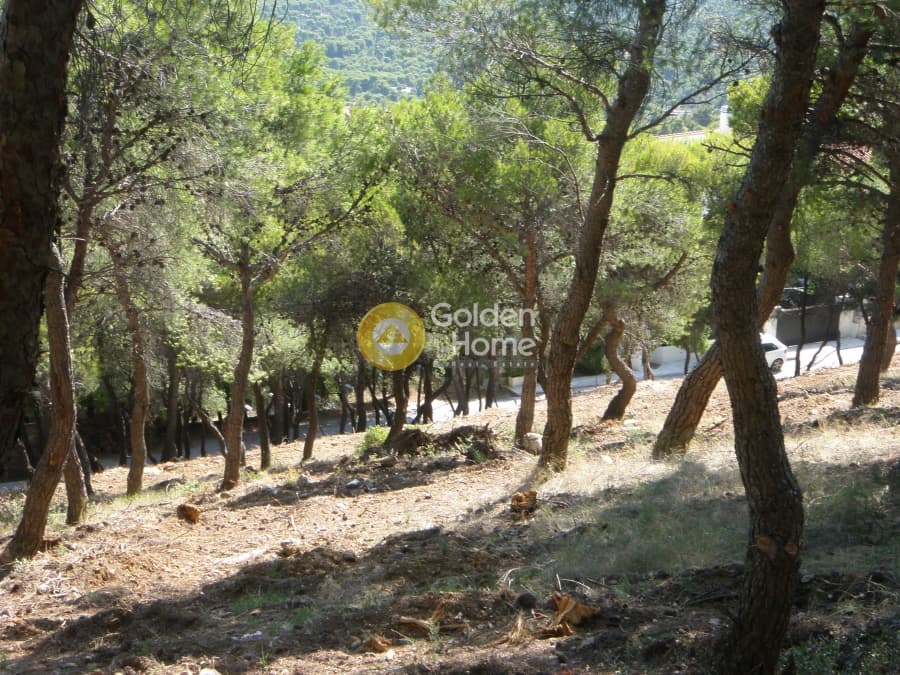 Building Plot in Neos Voutzas, Rafina — Photo 6 of 11
