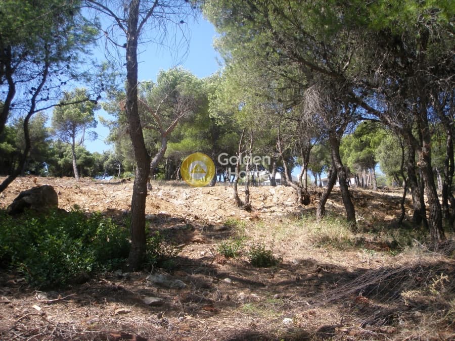 Building Plot in Neos Voutzas, Rafina — Photo 9 of 11