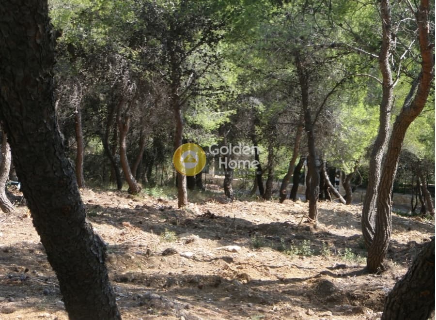 Οικόπεδο στην Άγιος Ανδρέας, Νέα Μάκρη — Φωτογραφία 9 από 13