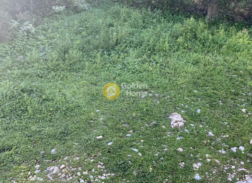 Building Plot in Agios Nikolaos, Anavissos