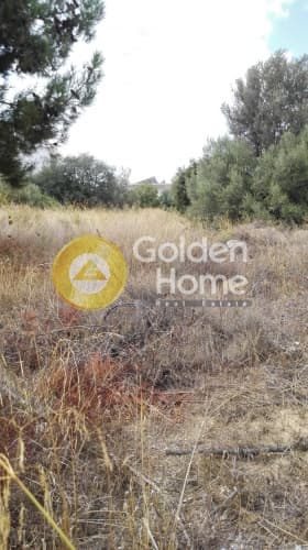 Building Plot in Gargittos, Gerakas — Photo 2 of 10