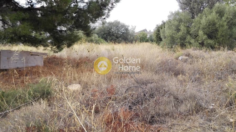 Building Plot in Gargittos, Gerakas — Photo 3 of 10