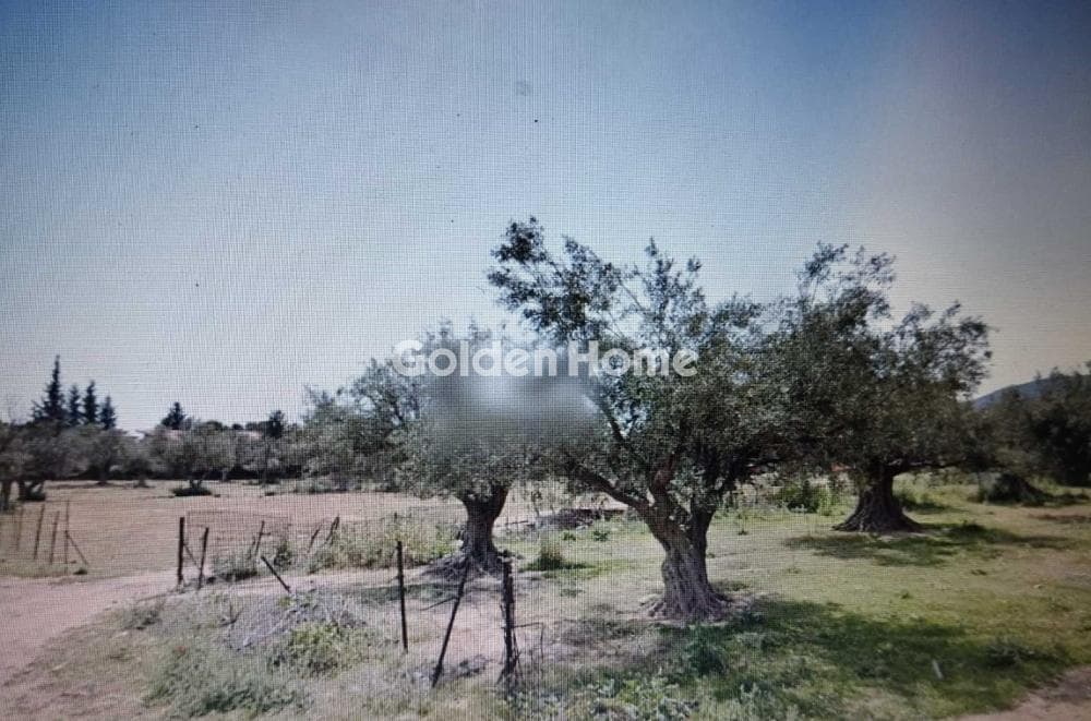 Οικόπεδο στην Θεοτόκος, Καματερό