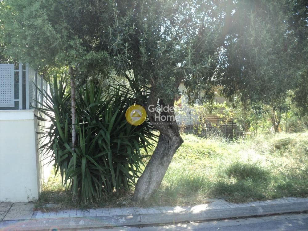Building Plot in Stavros Geraka, Gerakas — Photo 1 of 11