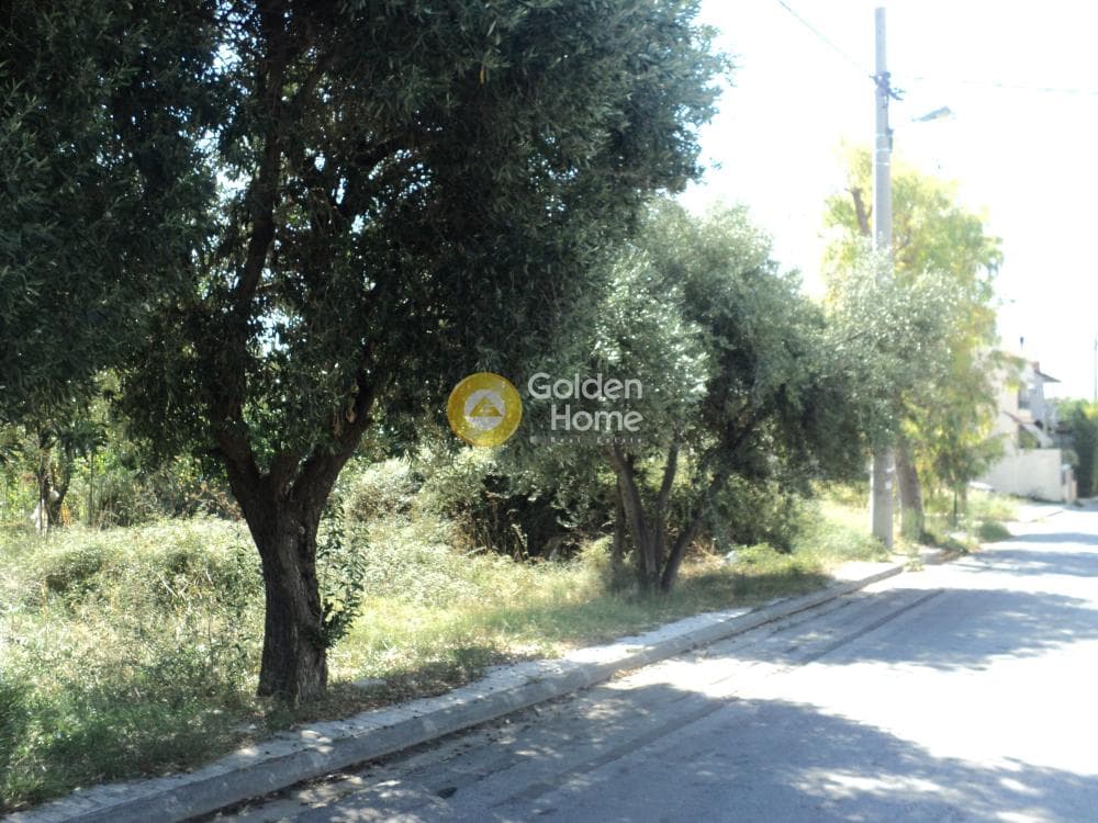 Building Plot in Stavros Geraka, Gerakas — Photo 4 of 11