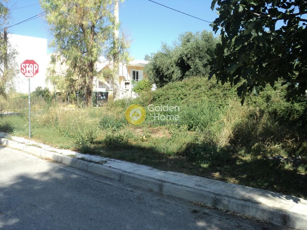 Building Plot in Stavros Geraka, Gerakas — Photo 5 of 11
