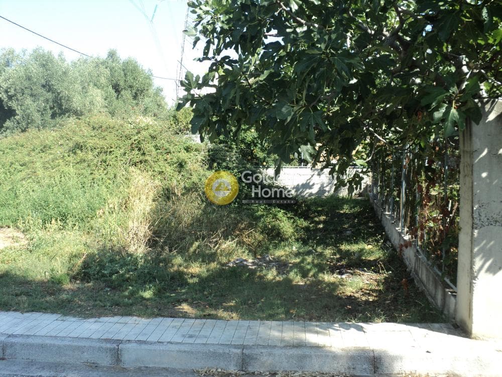 Building Plot in Stavros Geraka, Gerakas — Photo 7 of 11