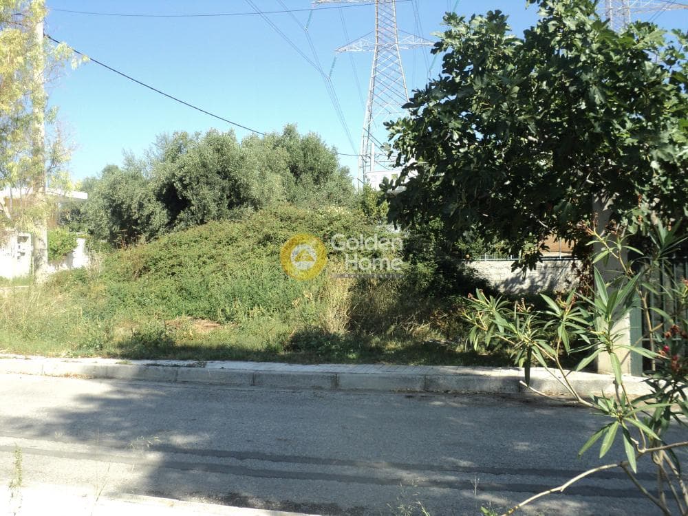 Building Plot in Stavros Geraka, Gerakas — Photo 8 of 11