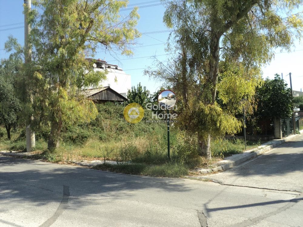 Building Plot in Stavros Geraka, Gerakas — Photo 9 of 11