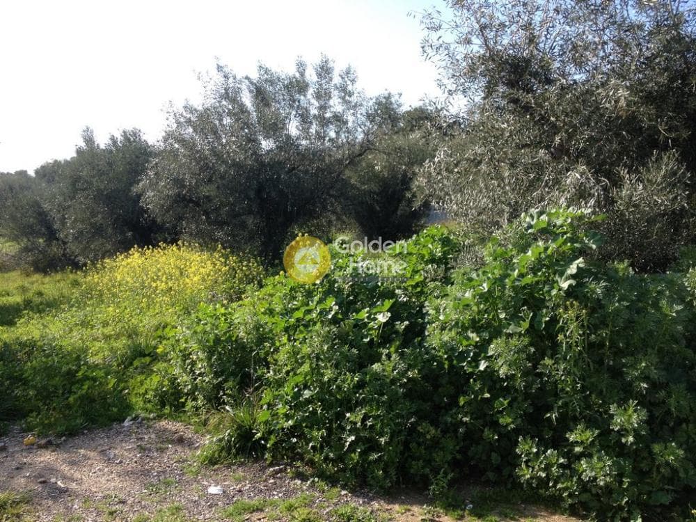 Οικόπεδο στην Αγία Τριάδα, Παιανία — Φωτογραφία 5 από 5