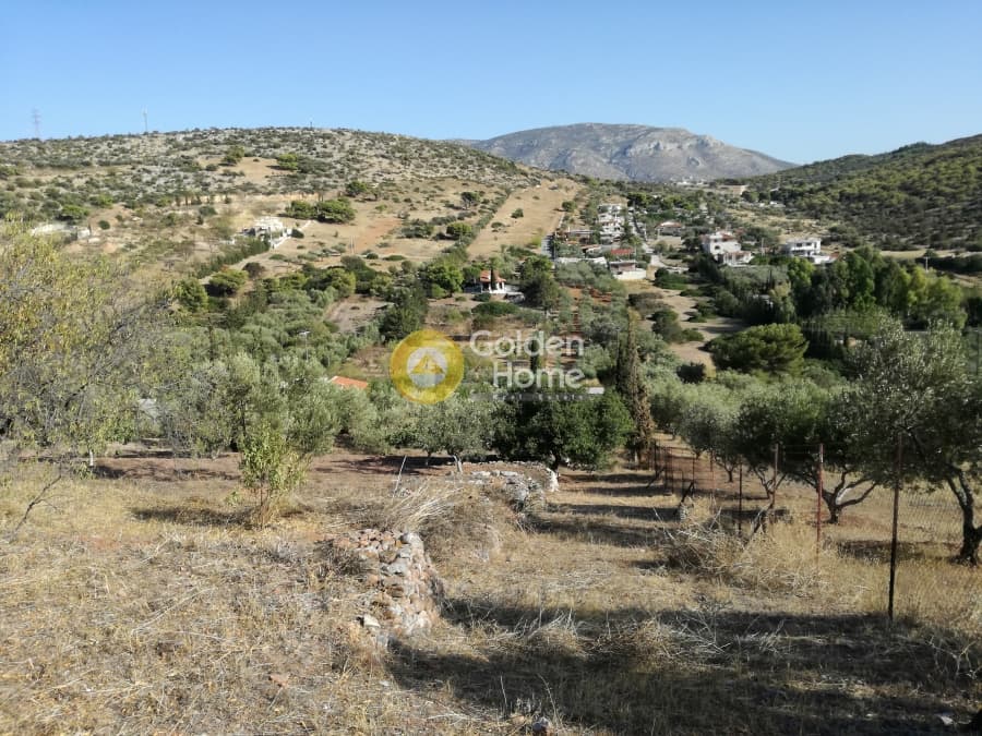 Μονοκατοικία στην Λαμπρικά, Κορωπί — Φωτογραφία 10 από 23