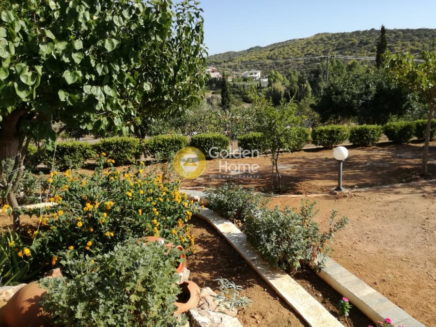Μονοκατοικία στην Λαμπρικά, Κορωπί — Φωτογραφία 16 από 23