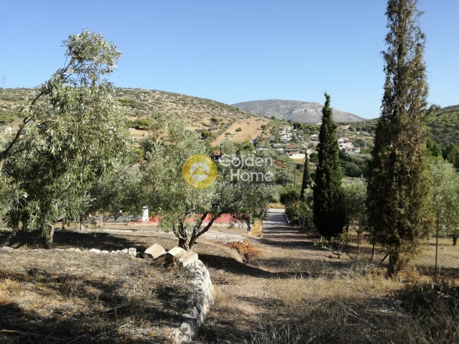 Μονοκατοικία στην Λαμπρικά, Κορωπί — Φωτογραφία 17 από 23