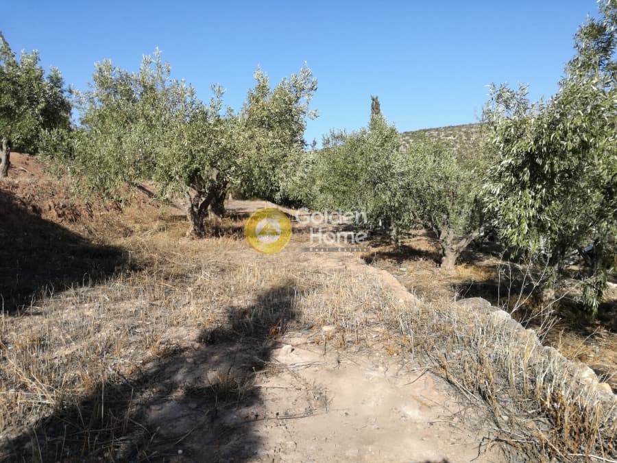 Μονοκατοικία στην Λαμπρικά, Κορωπί — Φωτογραφία 18 από 23