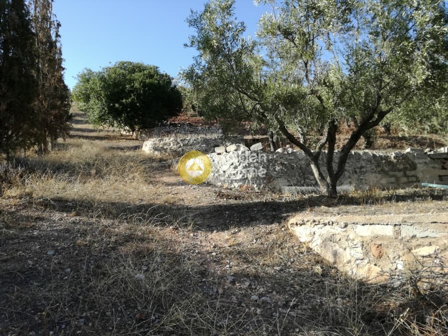 Μονοκατοικία στην Λαμπρικά, Κορωπί — Φωτογραφία 23 από 23