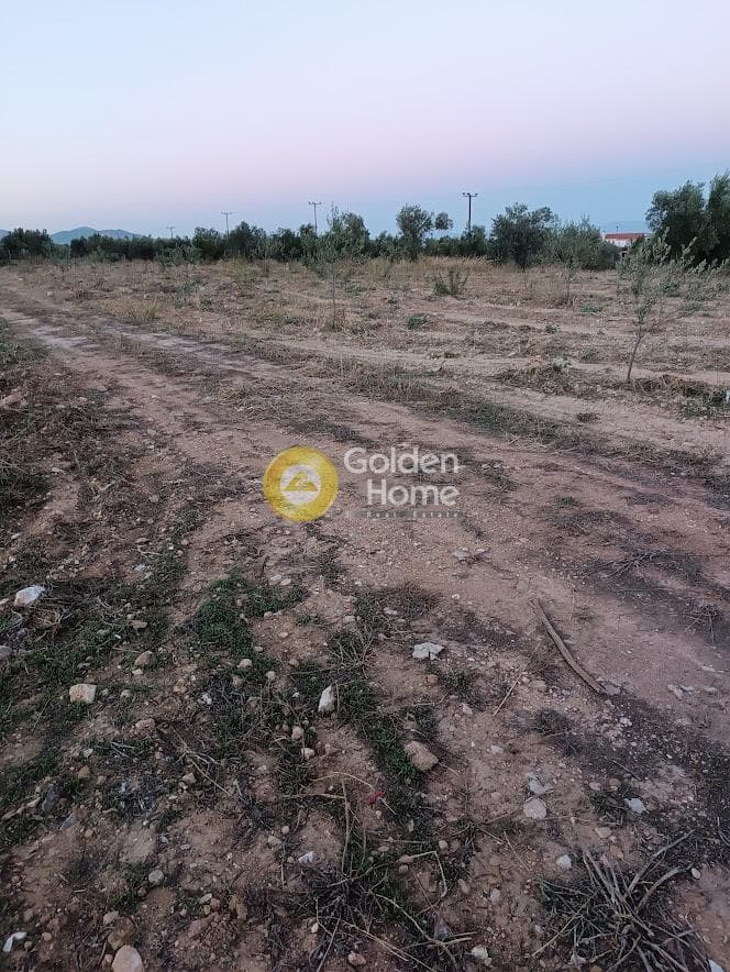 Αγροτεμάχιο στην Κέντρο, Κορωπί — Φωτογραφία 1 από 5