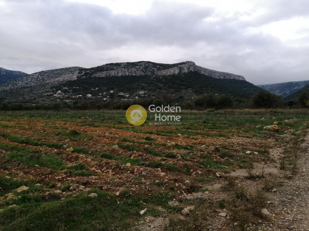 Parcel in Karelas, Paiania — Photo 12 of 17