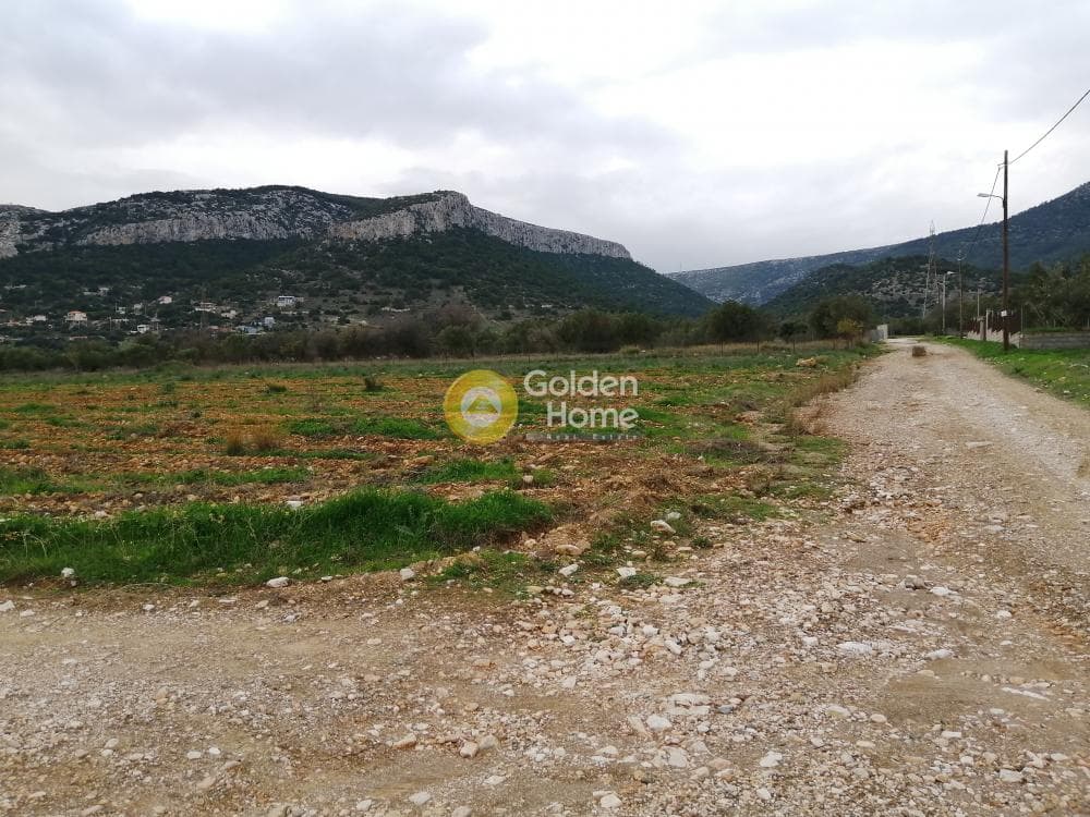 Parcel in Karelas, Paiania — Photo 1 of 17