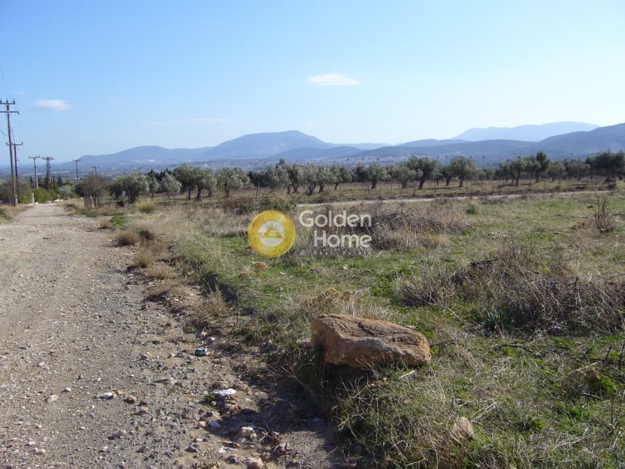 Parcel in Karelas, Paiania — Photo 16 of 17