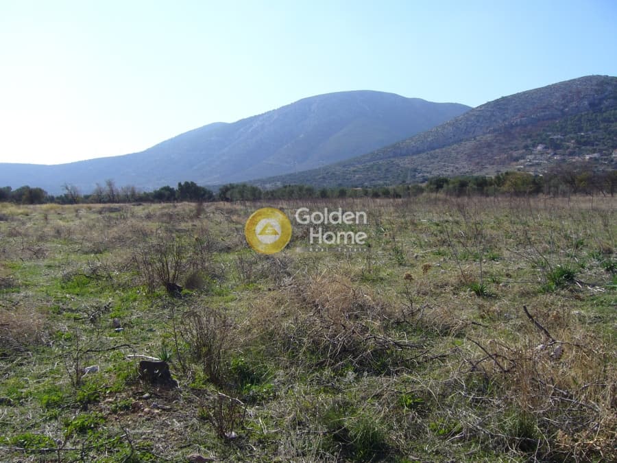 Parcel in Karelas, Paiania — Photo 15 of 17